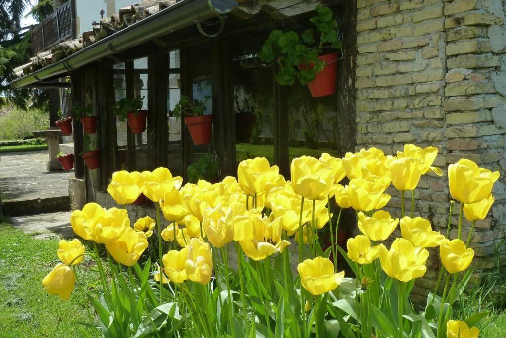 Casa Rural Mertxenea Landetxea Elcano 外观 照片